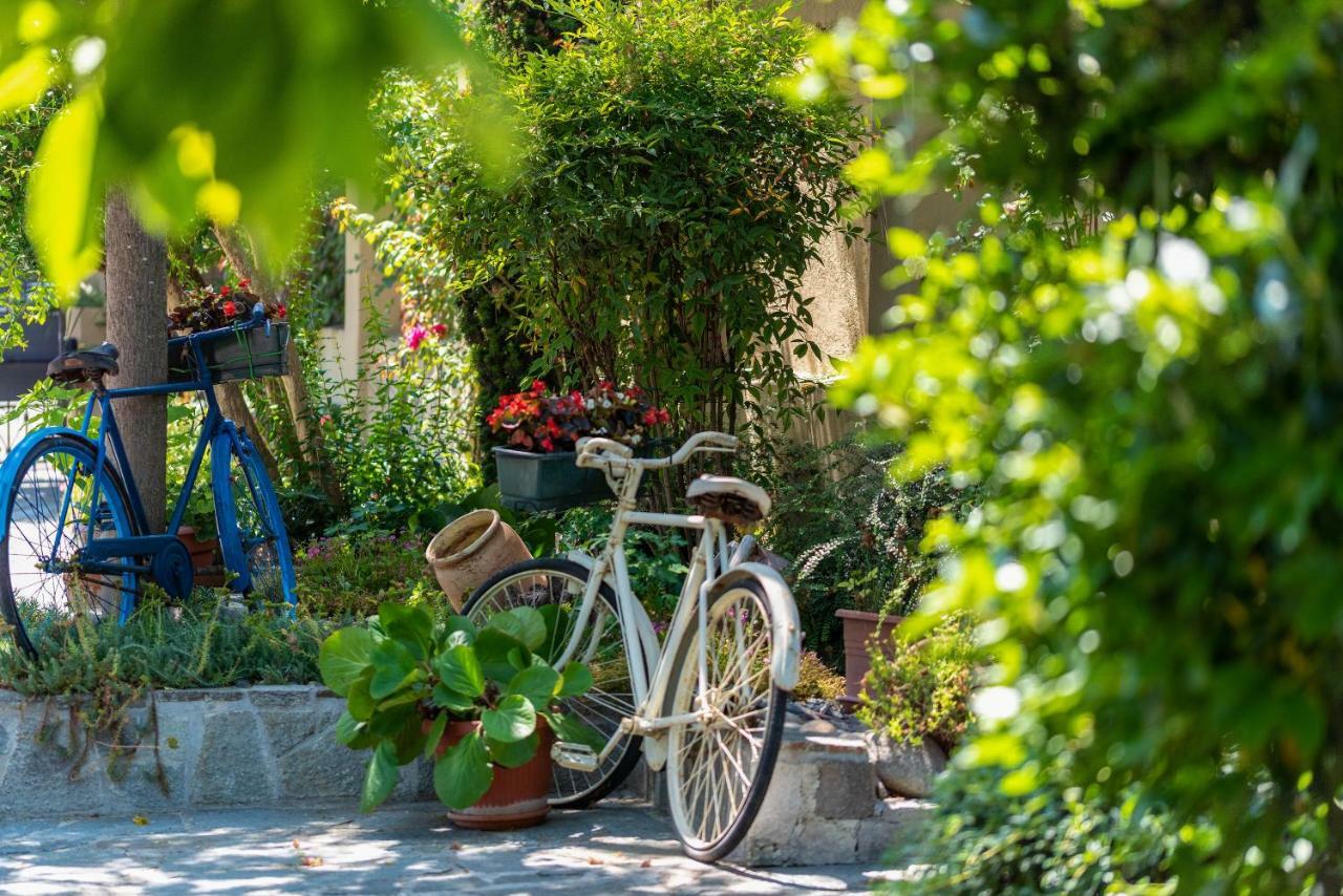 Villa Mery Casale Monferrato Eksteriør bilde